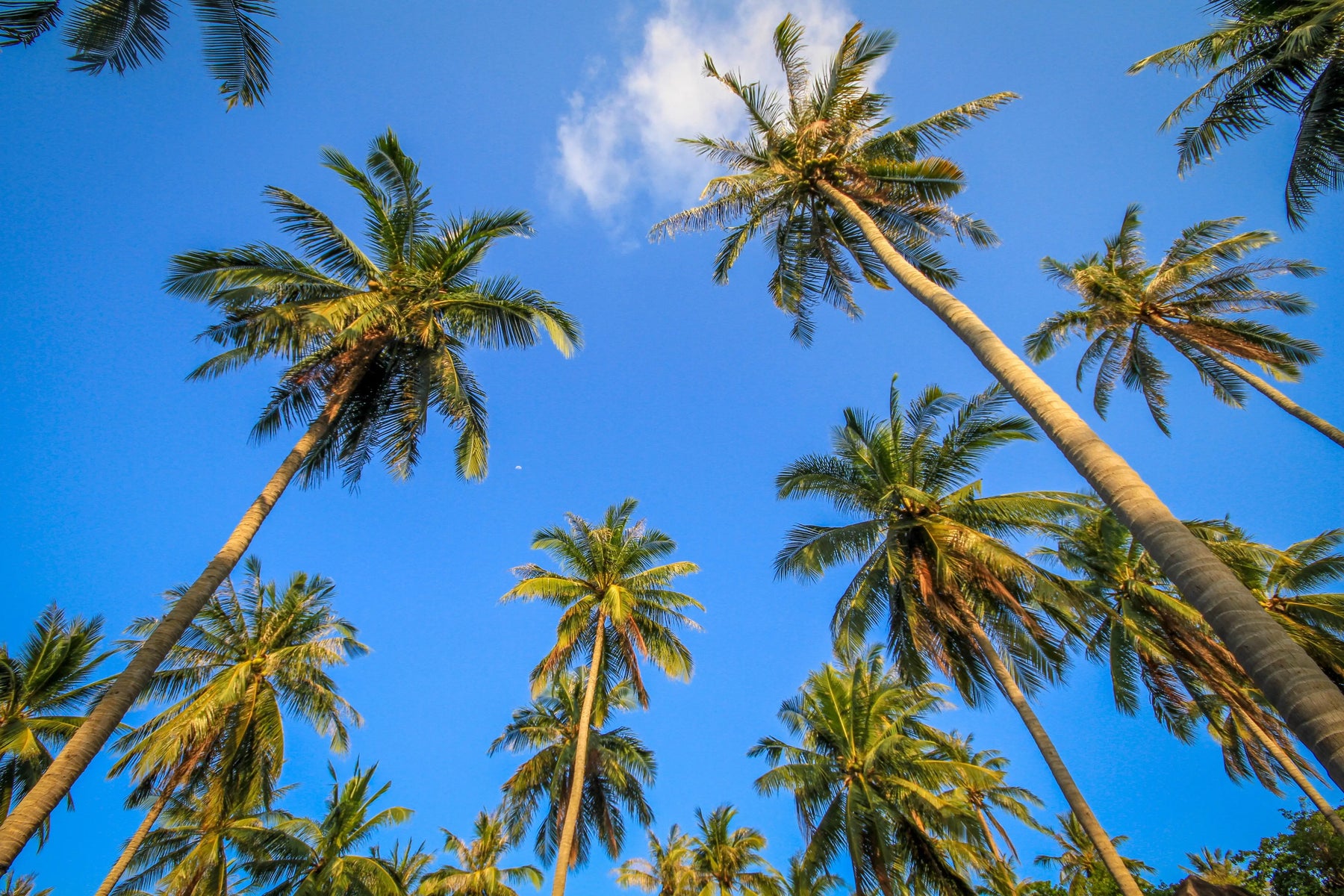 HGH Samui, levering naar Samui